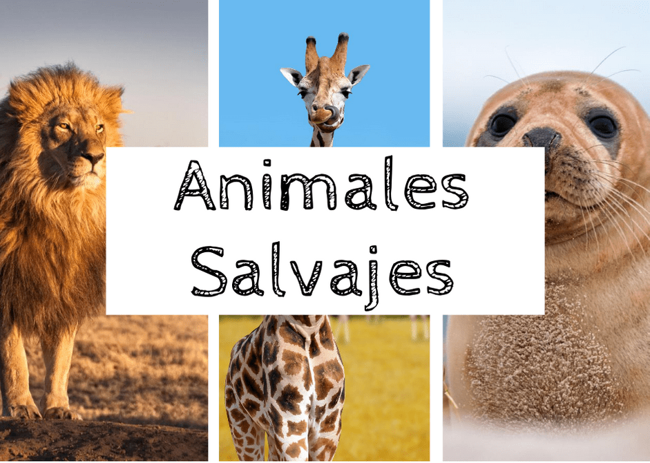 animales en inglés